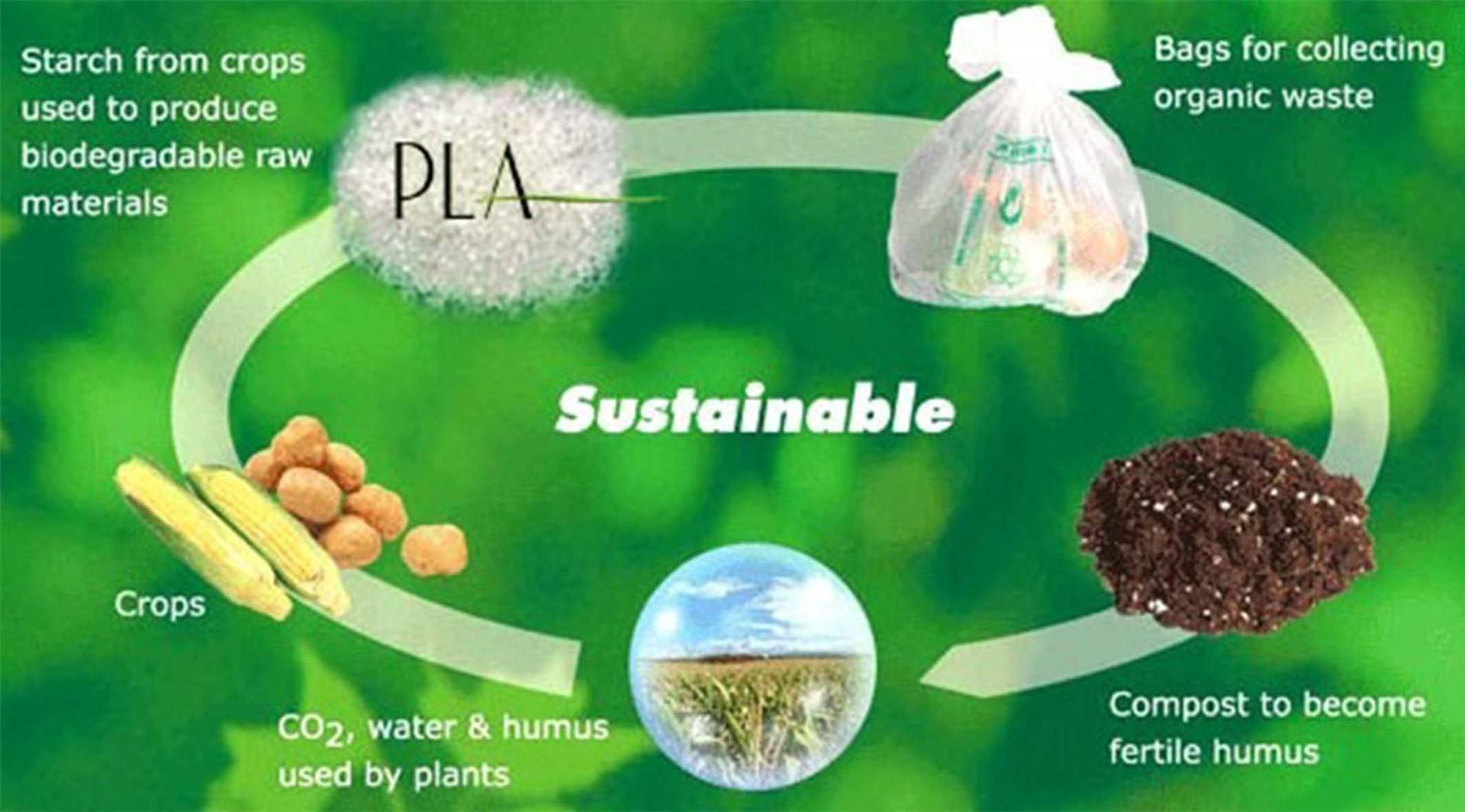 可降解食品包裝材料中增塑劑遷移特性及控制技術(shù)研究